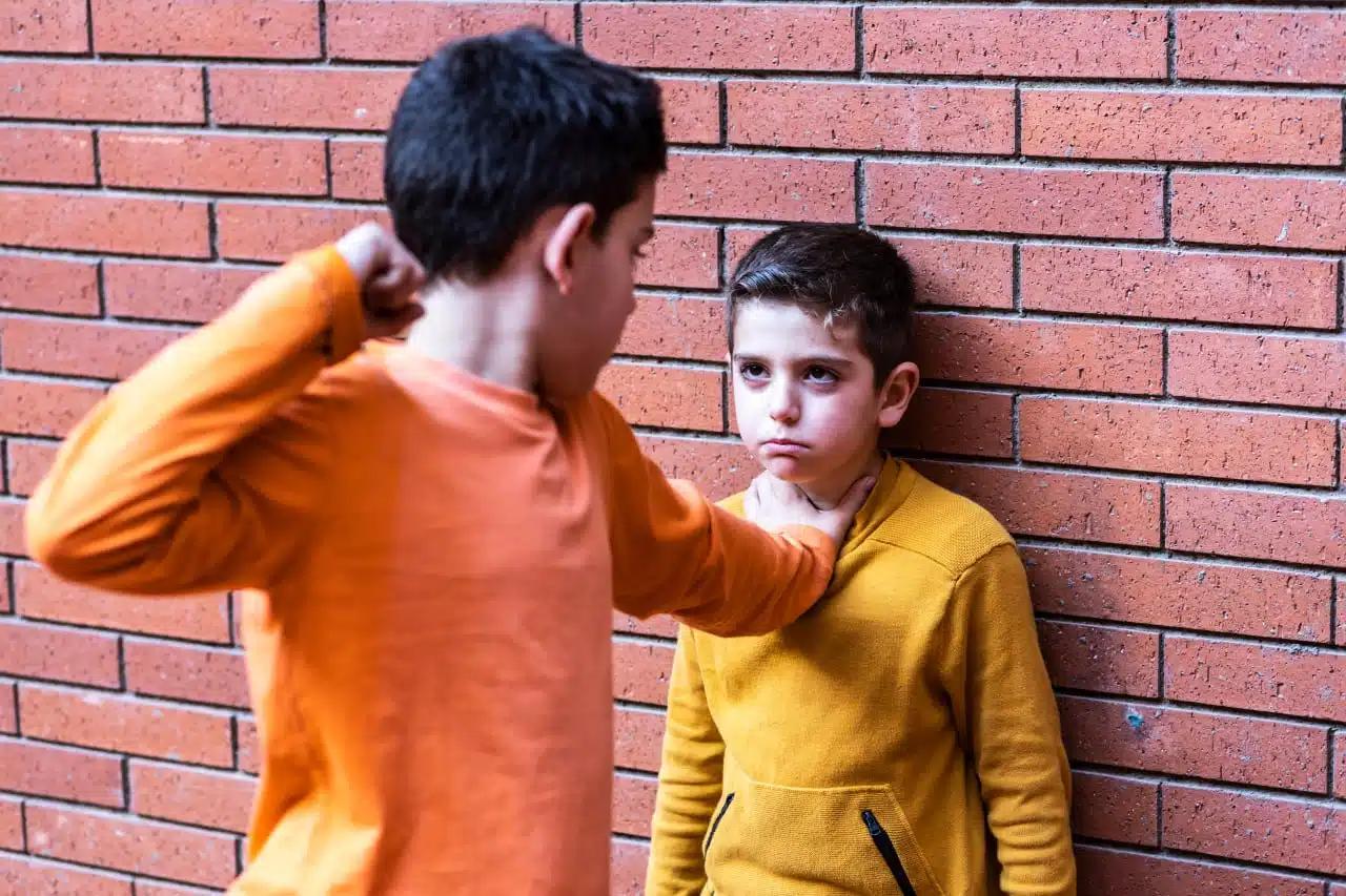 Características y tipos de agresividad Infantil