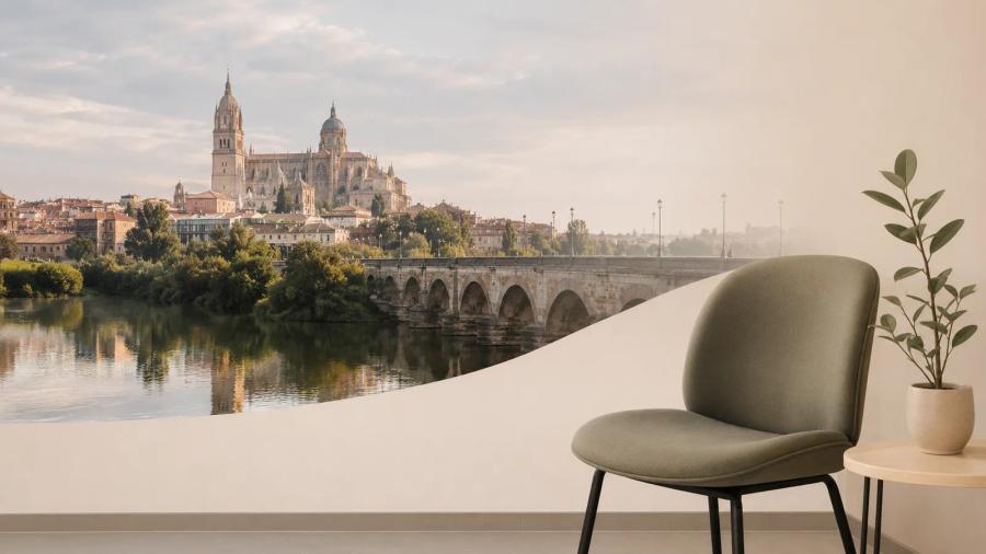 Sala con sillón, planta y vista de la Catedral de Salamanca y el Puente Romano sobre el río Tormes