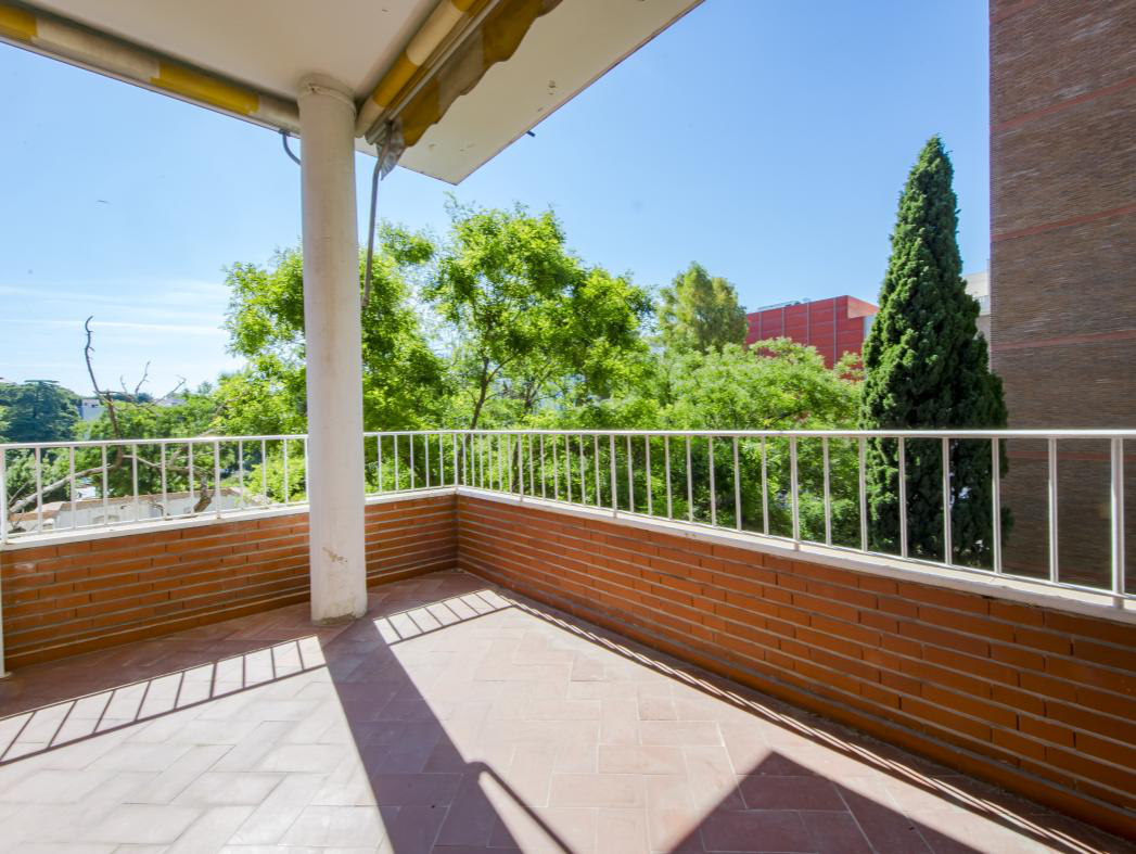 Terraza y arquitectura de Zuazo en Chamberí
