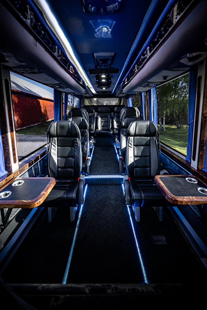 Mercedes-Benz Luxury Sprinter — view 4