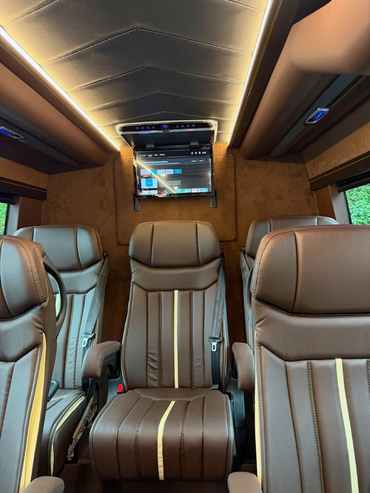 Mercedes-Benz Luxury Sprinter — interior view 4