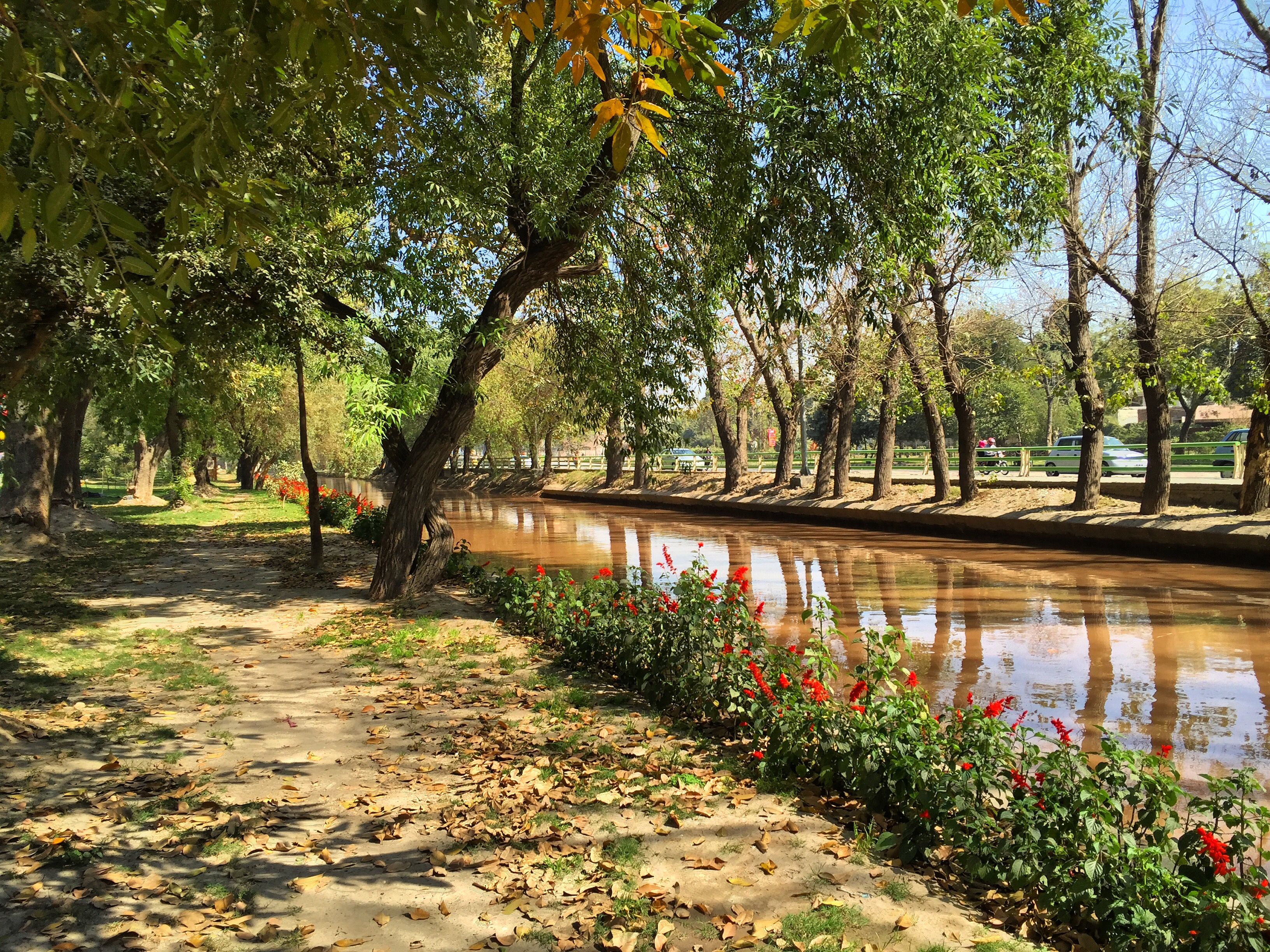 The tree-lined Lahore Canal near Ferozepur Road