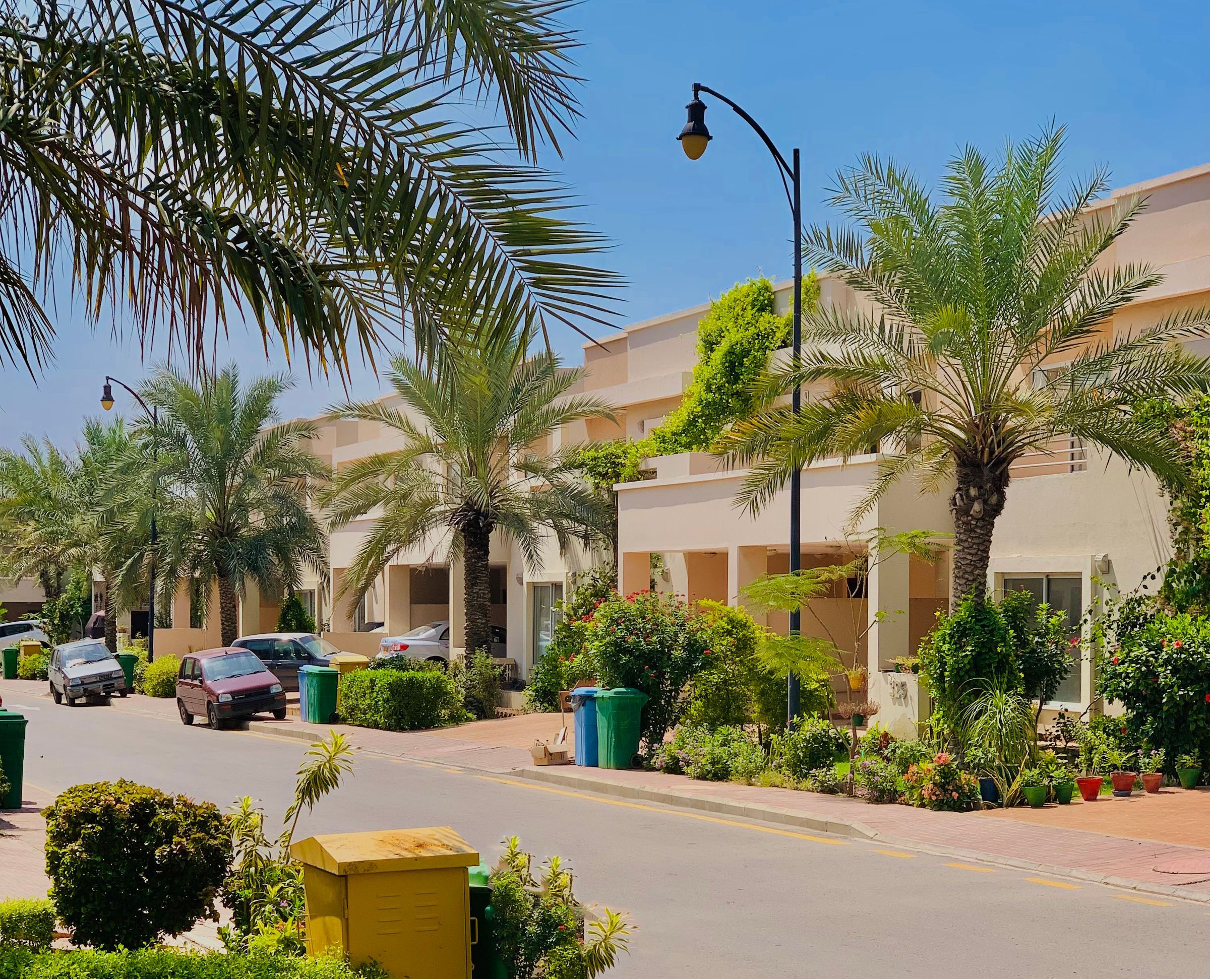 A residential street lined with palm trees in Karachi
