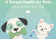 Dental Health for Pets: Greenies and Preventative Treat Options