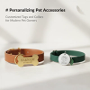 Personalizing Pet Accessories: Customized Tags and Collars for Modern Pet Owners