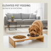 Elevated Pet Feeding Accessories: Why Modern Pet Parents Choose Aesthetic Bowls and Dishes