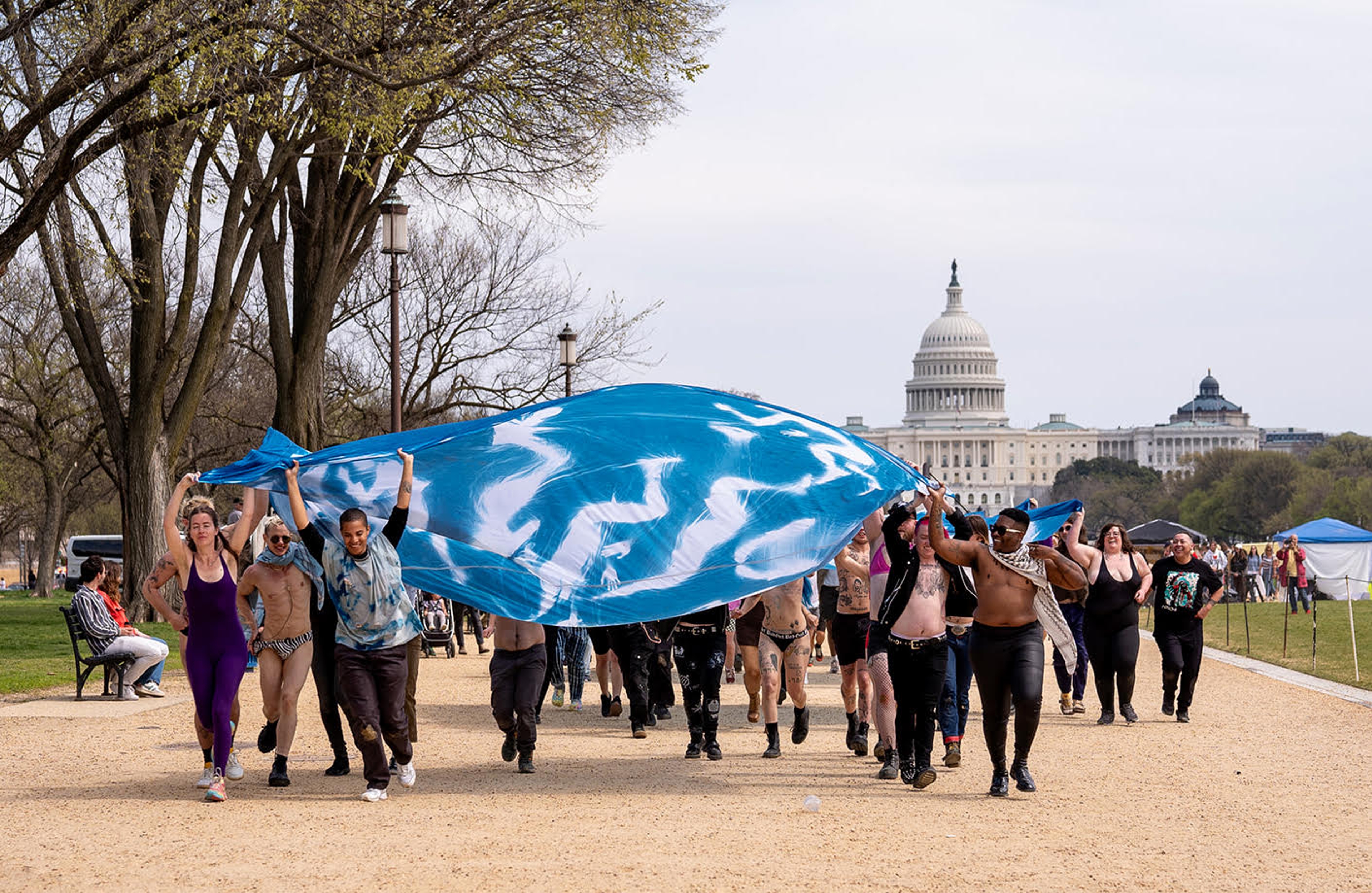 Lots of people walk through a park carrying a large blue textile over their heads. The US Capitol building is visible in the background.