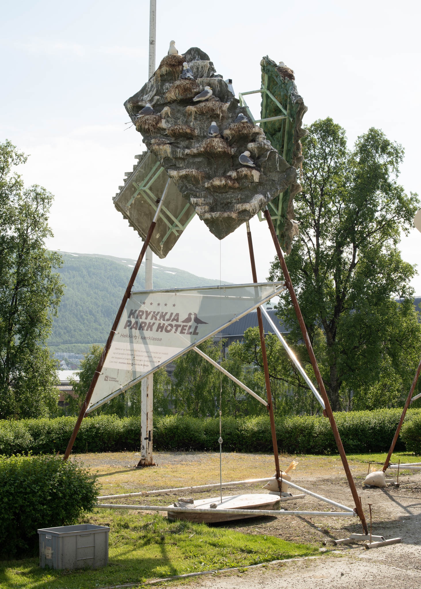 Kittiwakes nest in a tripod-shaped bird-hotel.