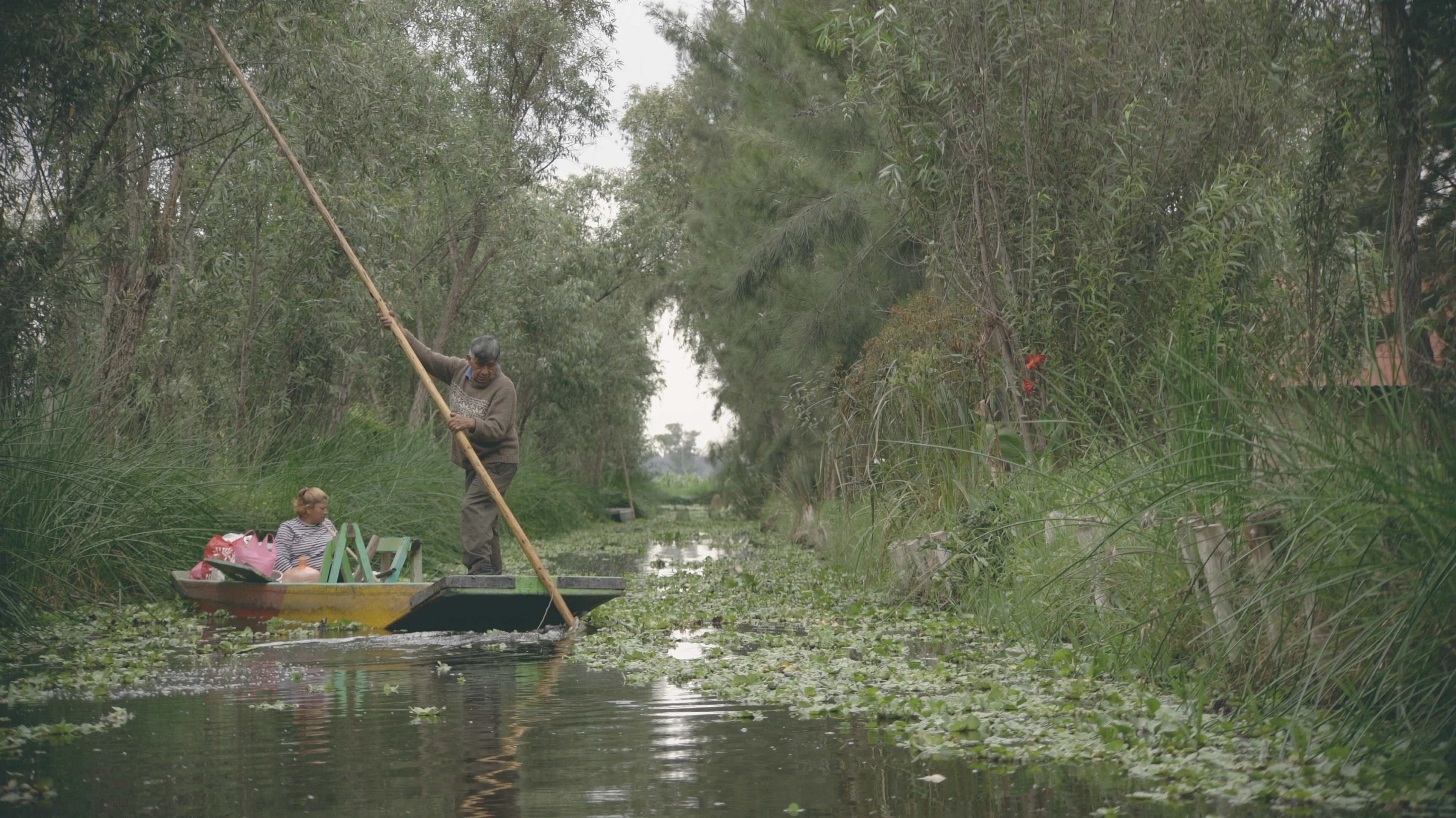 Still image from 'En Ausencia' by Caterina Erica Shanta