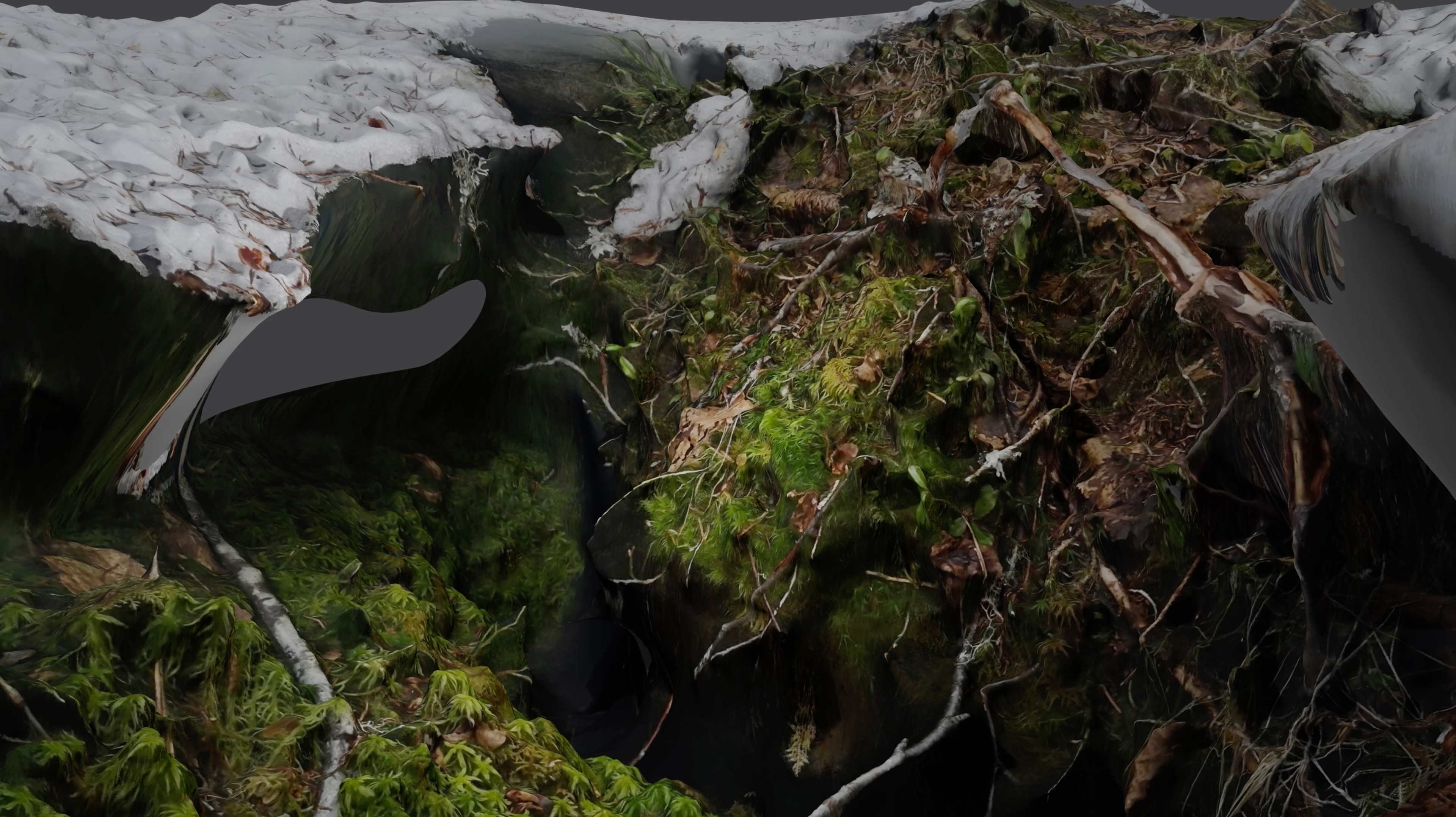 Still image from 'Land Bodies, Decomposing Mass' by Ingrid Bjørnaali, Maria Simmons & Fabian Lanzmaier