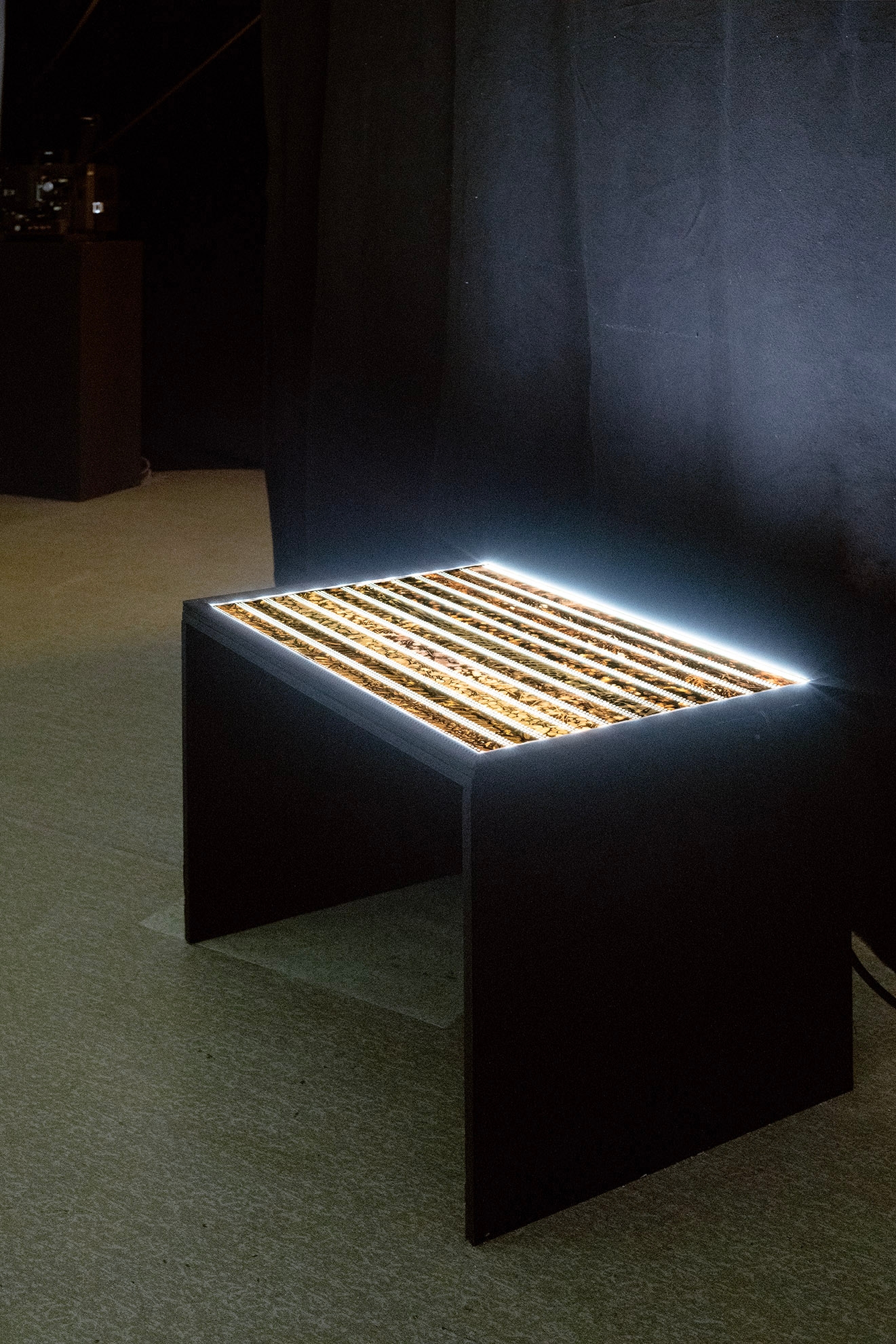 A light table with film strips on it glows in a dark gallery