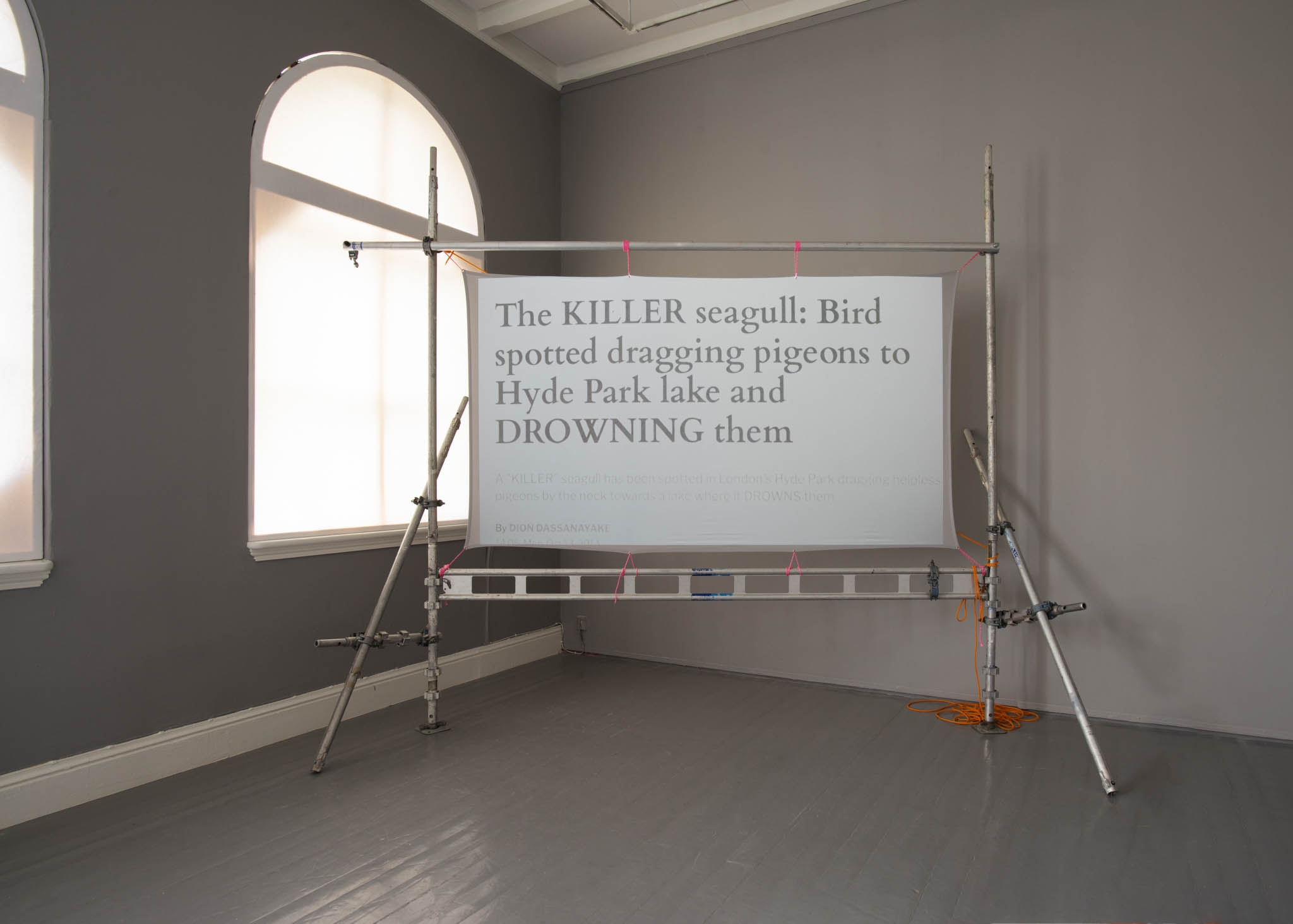 Scaffolding creates a frame for a projection screen. On the screen reads 'The KILLER seagull. Bird spotted dragging pigeons to Hyde Park lake and DROWNING them'