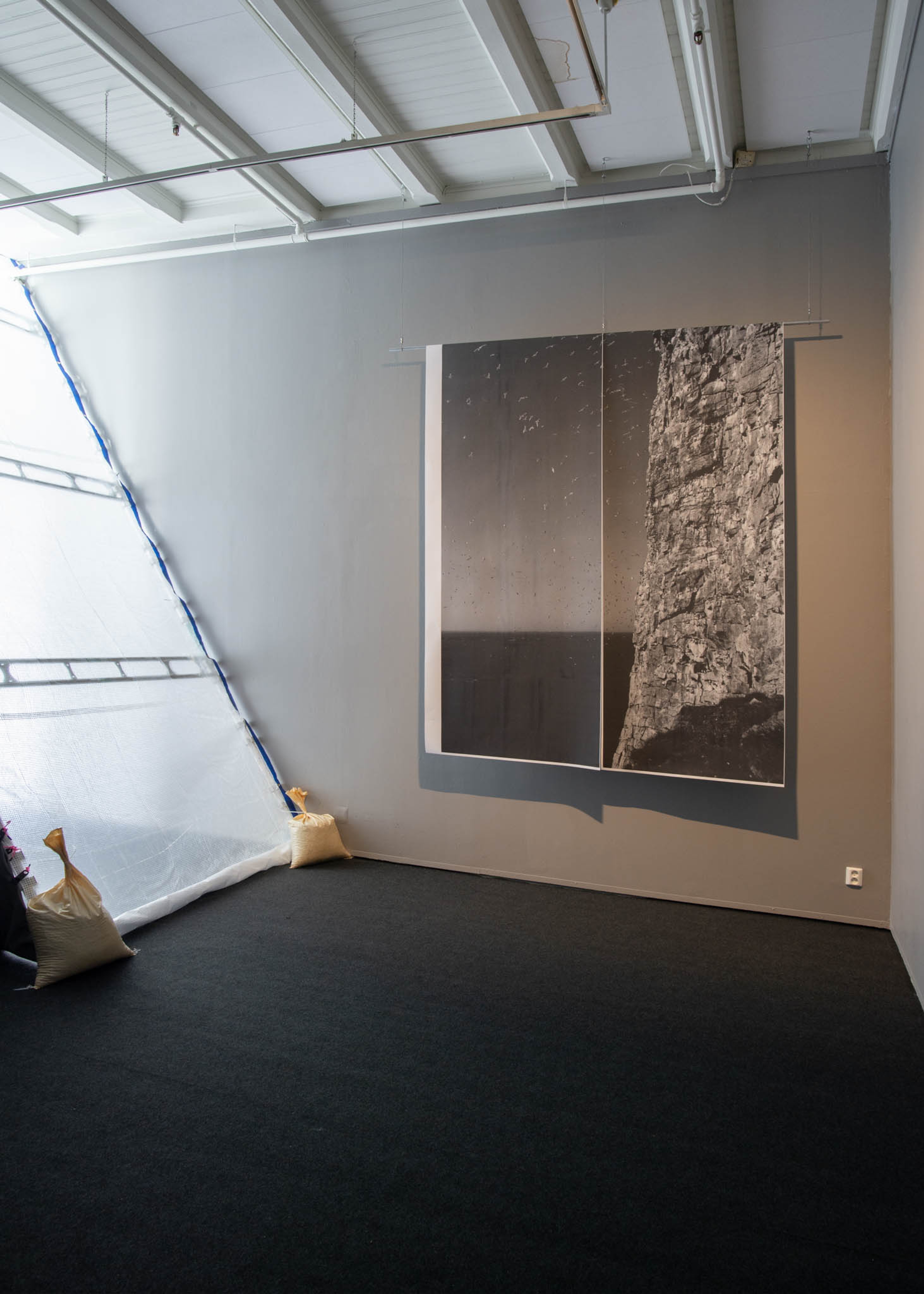 A large black and white print of a bird cliff hangs against a wall