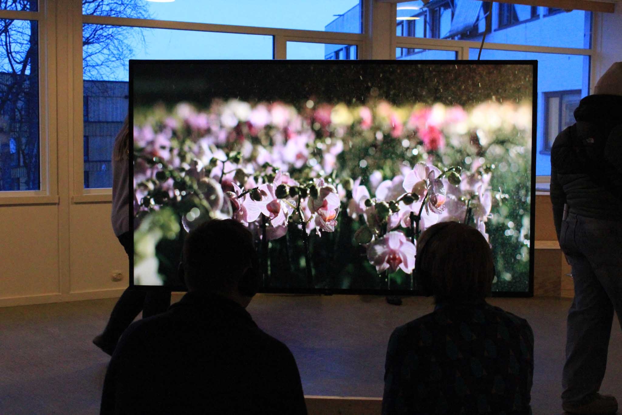 Two people sit in front of a large TV screen showing flowers.