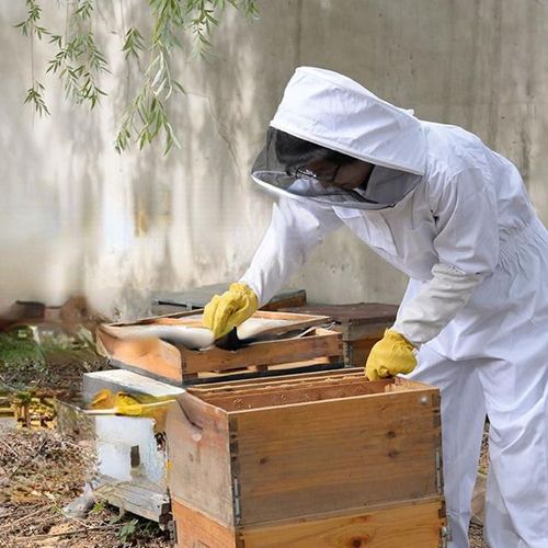 Μελισσοκομικά προσταστευτικά - υποκατηγορία γεωπονικών προϊόντων Ξάνθη | Ζουμπούλη Χ. Ειρήνη