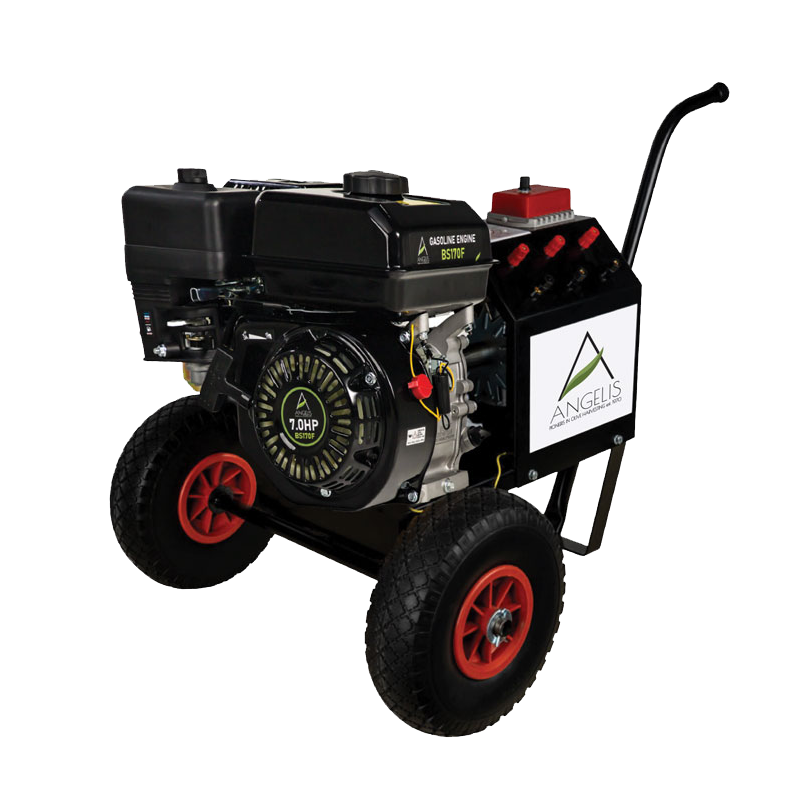 Γεννήτρια με κινητήρα 7hp και δυναμό - γεωπονικά εφόδια Ξάνθη | Ζουμπούλη Χ. Ειρήνη