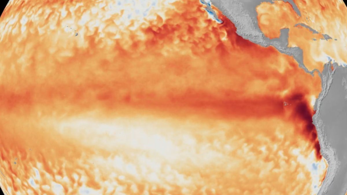 A 14,500-km monster wave is crossing the Pacific, and El Nino is back