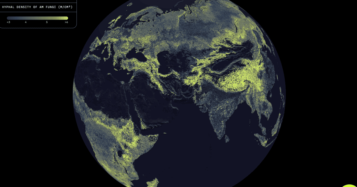 Global map of Earth’s mycorrhizal fungal networks could help protect them
