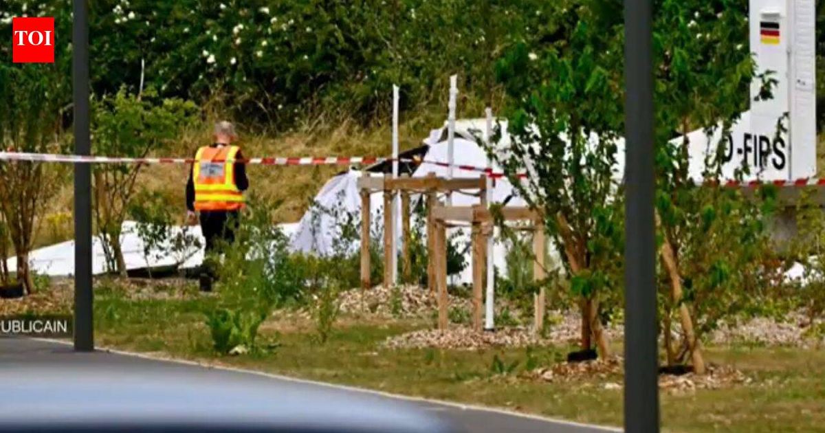 11 killed in civilian plane crash in France's Tomblaine town