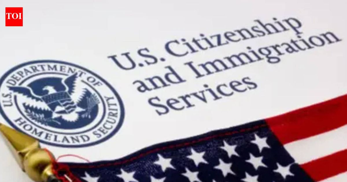 Who is Neeraj Sharma, Indian-American man set to lose his US citizenship for blatant visa fraud? Never had any real job to offer