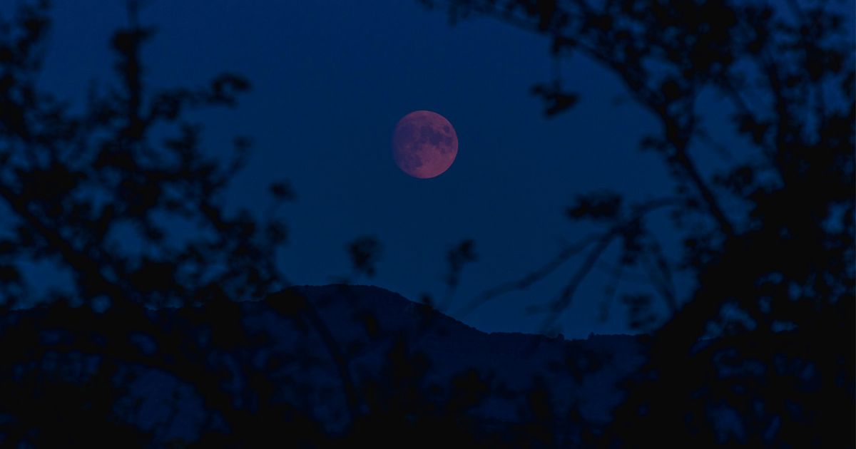 Strawberry Moon to light up Telangana skies on June 29; best viewing between 7.30 pm and 8.30 pm