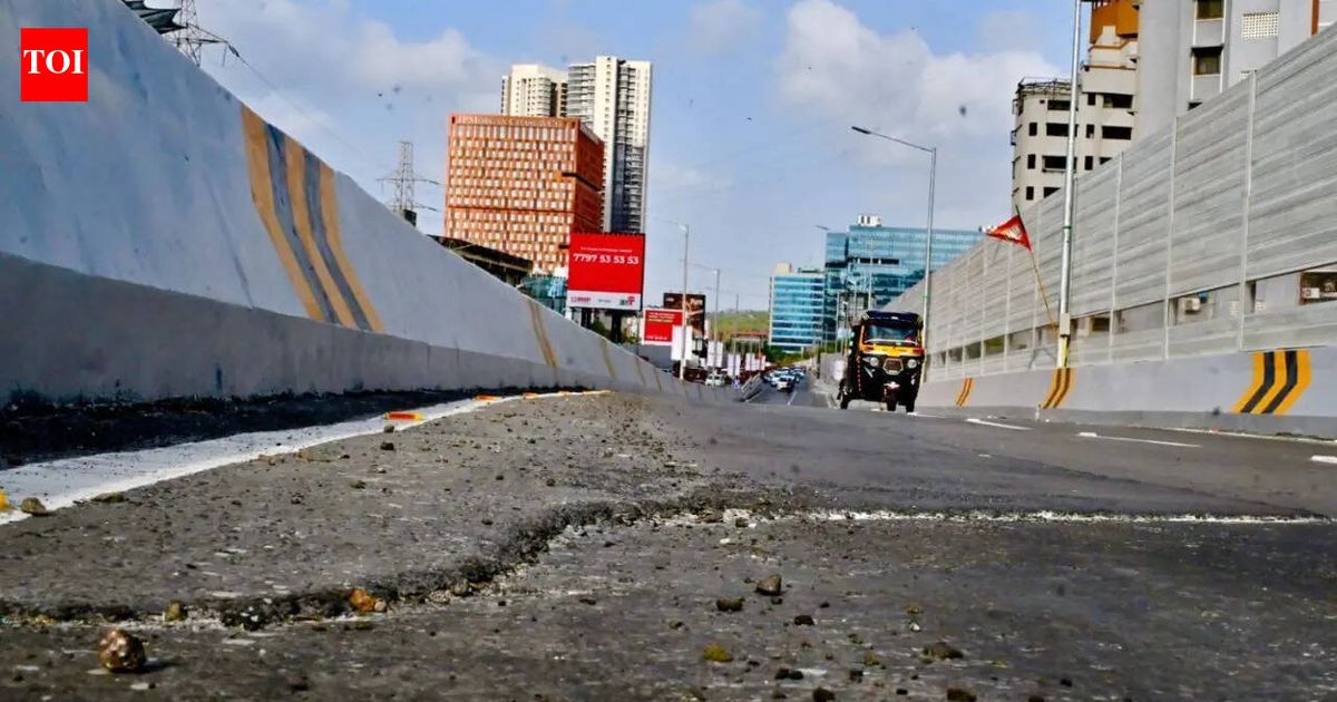 Mumbai’s Rs 248 crore Mrinal Tai Gore flyover faces backlash hours after opening over ‘patchy’ surface