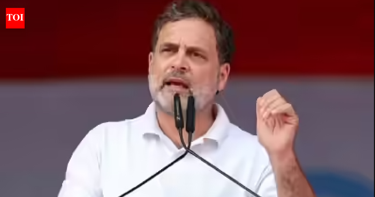DMK attacks Rahul Gandhi for ‘dishonesty,’ ‘immaturity’ that harmed INDIA bloc