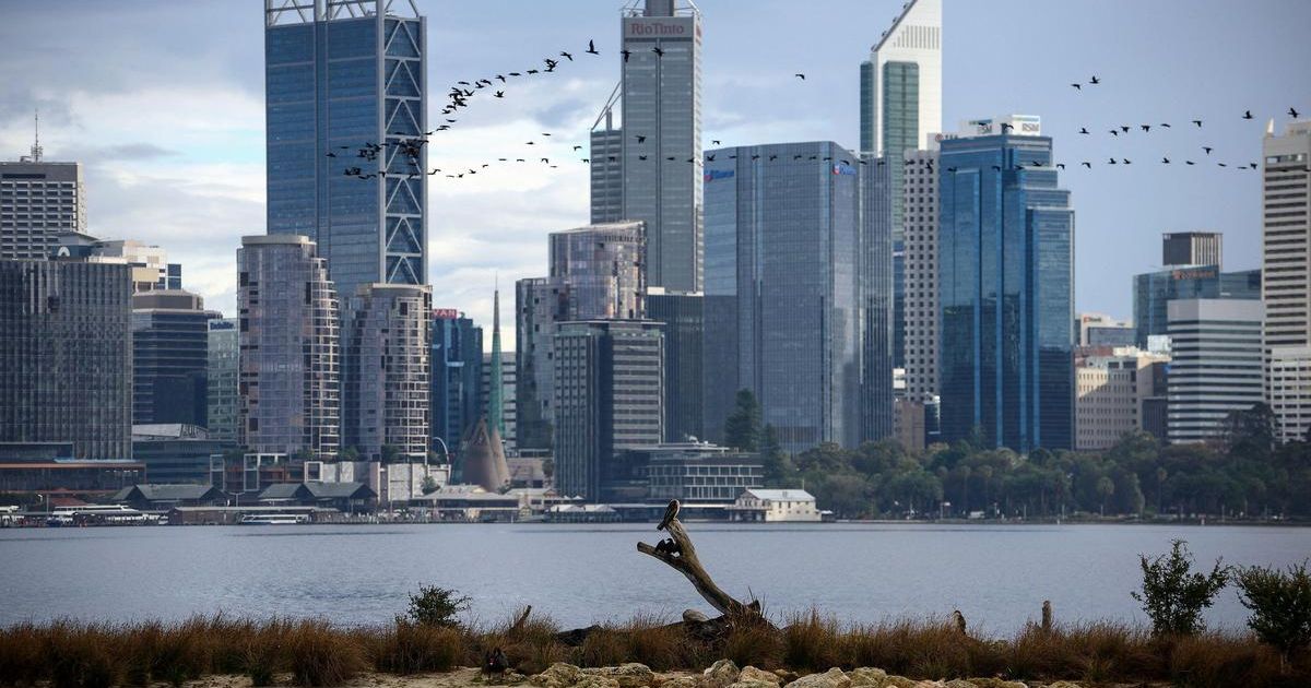 Australia says checking for more H5 bird flu infections