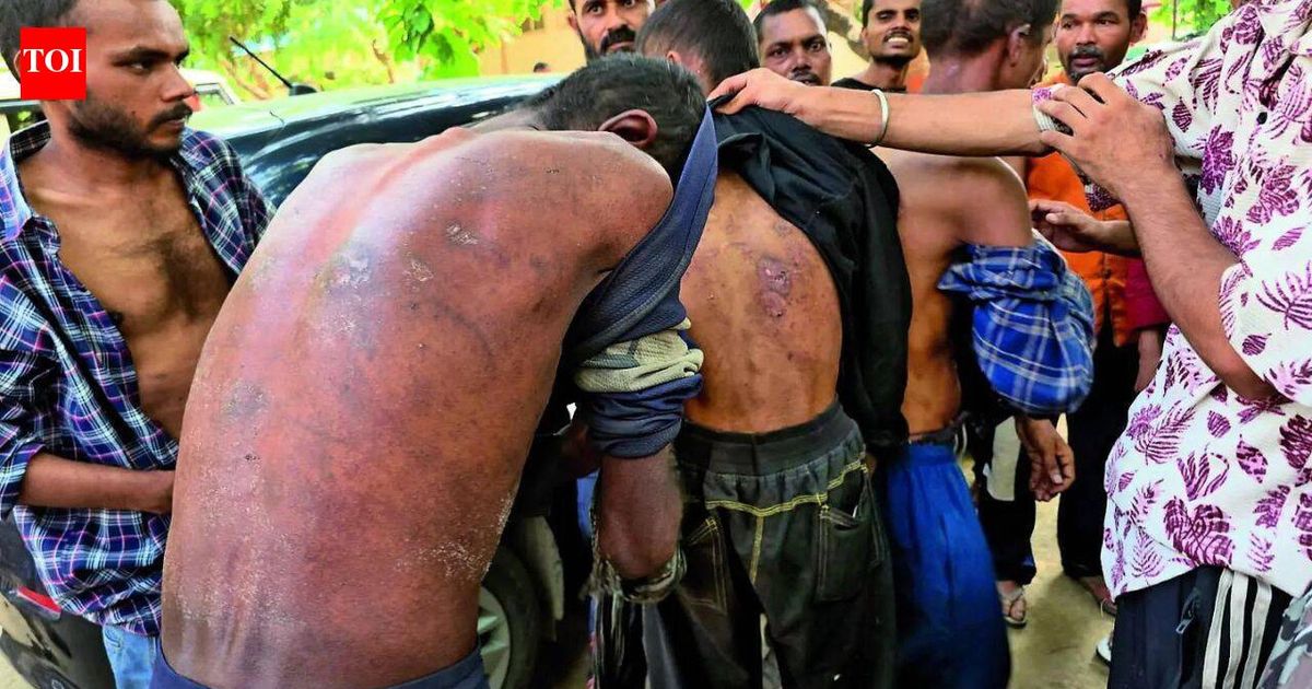 ‘Pit bulls guarded us, we were beaten like dogs’: Rescued bonded labourers recall months of horror