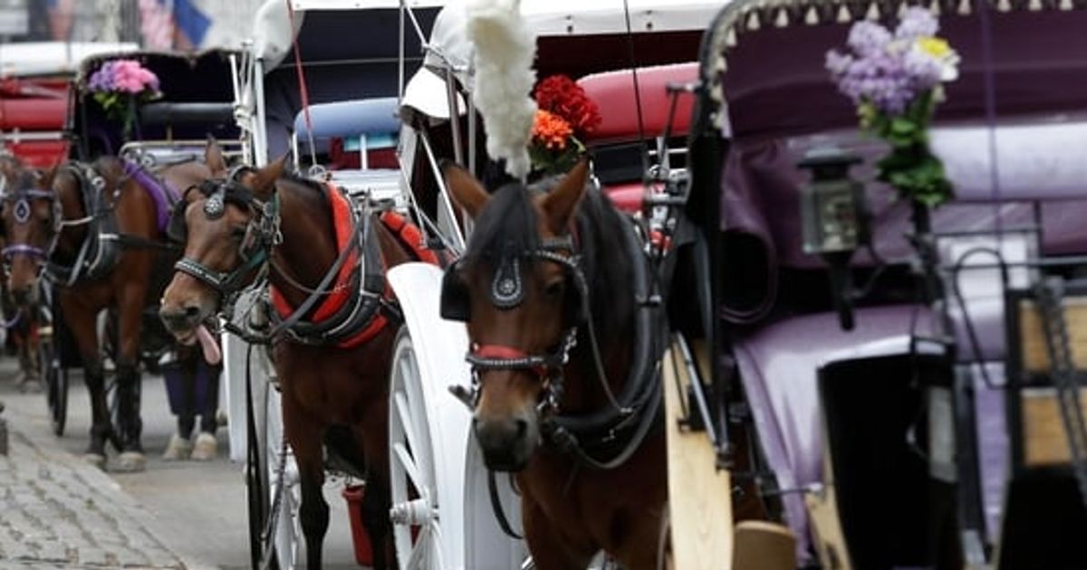 Indian teen dies in freak horse carriage accident at Central Park during first New York trip