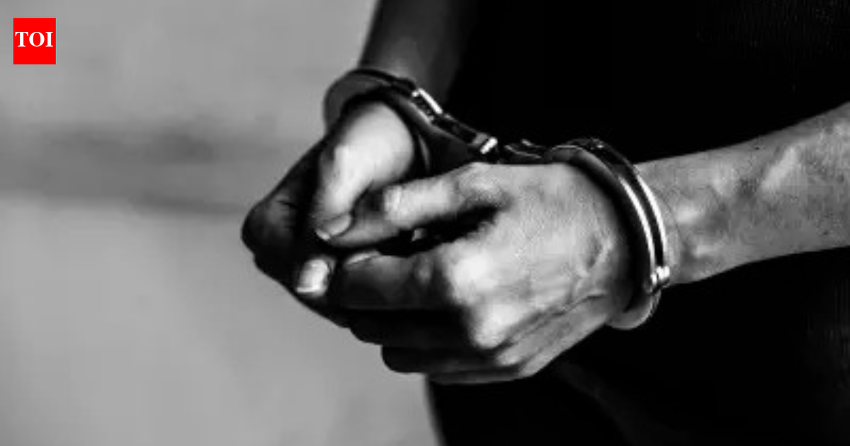 Indian man sentenced to 34 years in UK for kidnap, torture and rape