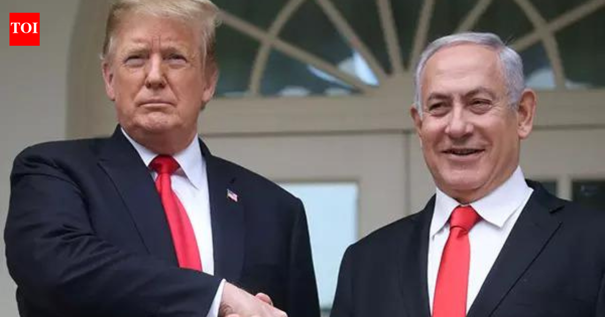 'In best of families...': Netanyahu responds to Trump's 'crazy' remark, acknowledges 'tactical disagreements'