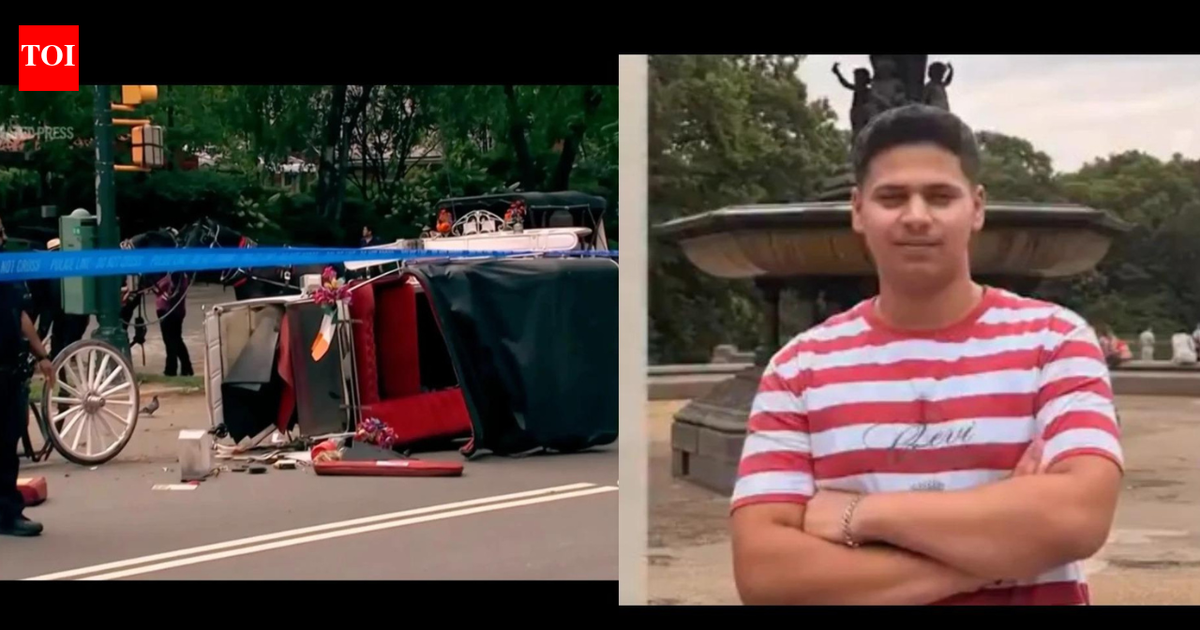 ‘Romanch's Law’: NYC bill which seeks to ban horse carriages named after Indian teen