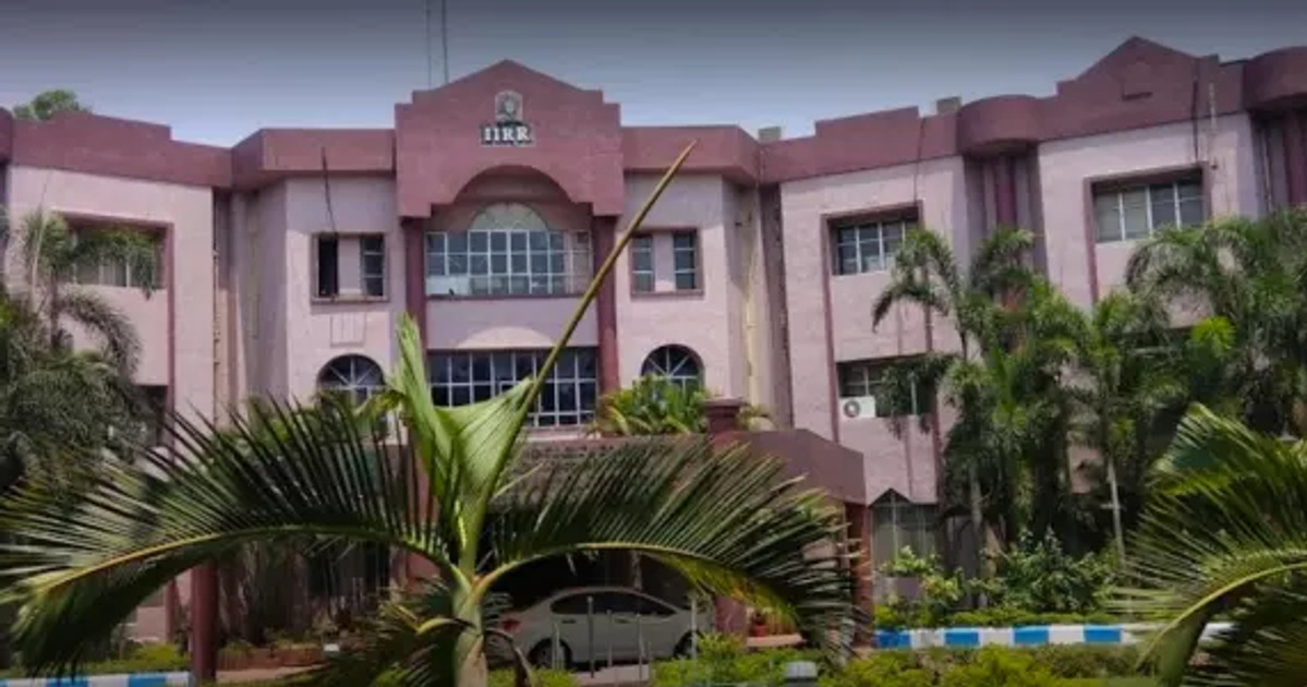 IRRI Develops New Climate Change-Resistant Varieties