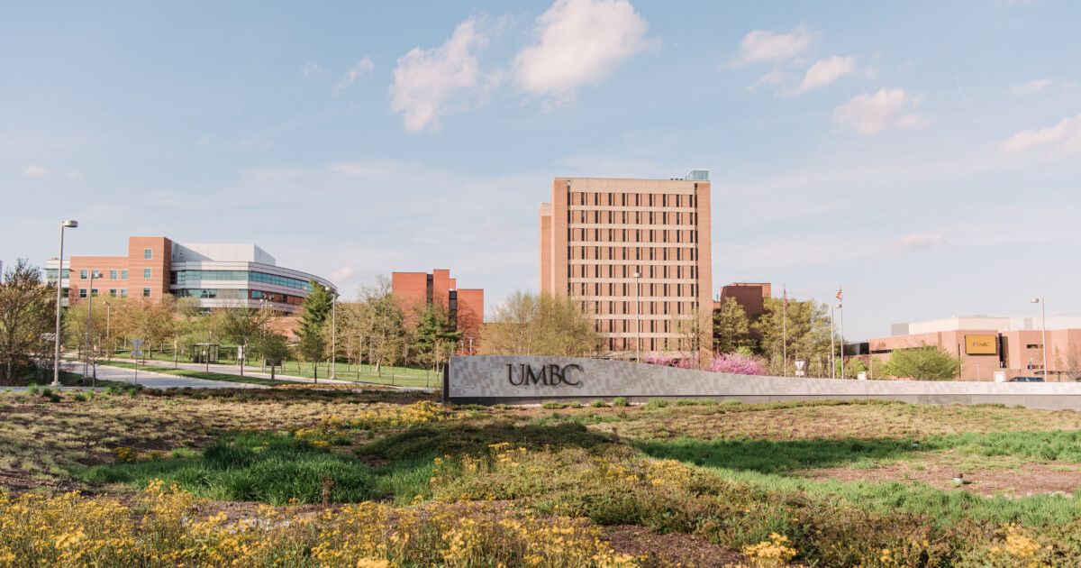 Seigar Named Dean Of The College Of Natural And Mathematical Sciences