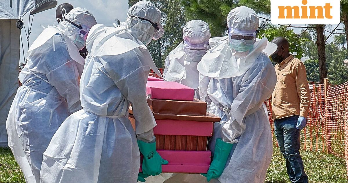 World News Today Live Updates on June 11, 2026 : WHO revises Ebola risk assessment: Congo under 'very high' risk - Does India have cases?
