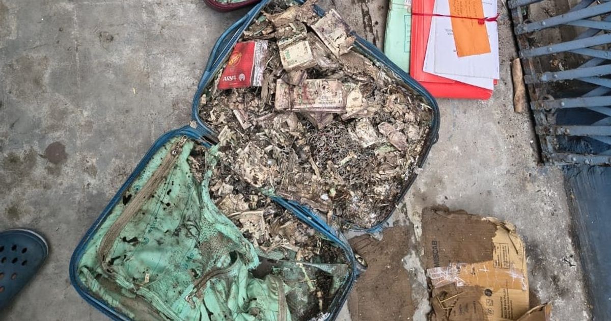 Termite-damaged cash worth Rs 1 crore found in Kolkata college room