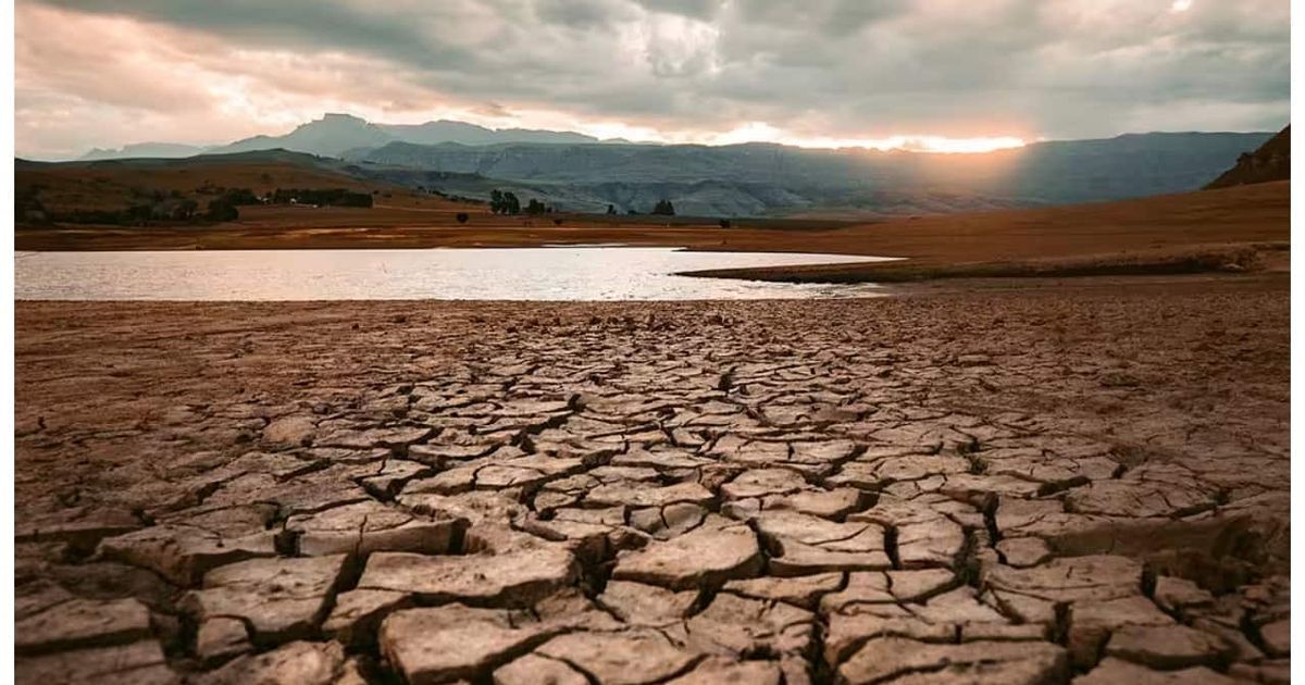 A stock trader’s guide to navigating a rare ‘super El Niño’