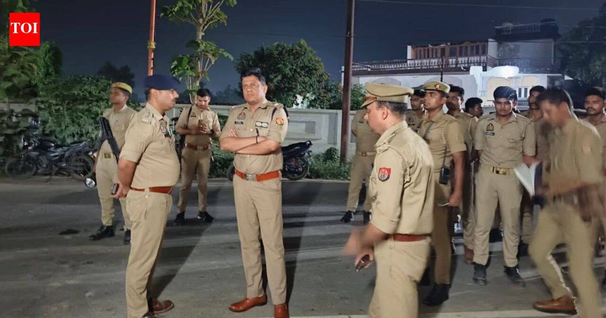 Brother, sister-in-law and 3-year-old nephew hacked to death by teen in UP