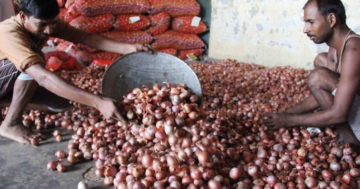 Govt hikes onion procurement price fifth time this season; prices hiked by 13 percent to Rs 2,125 per quintal