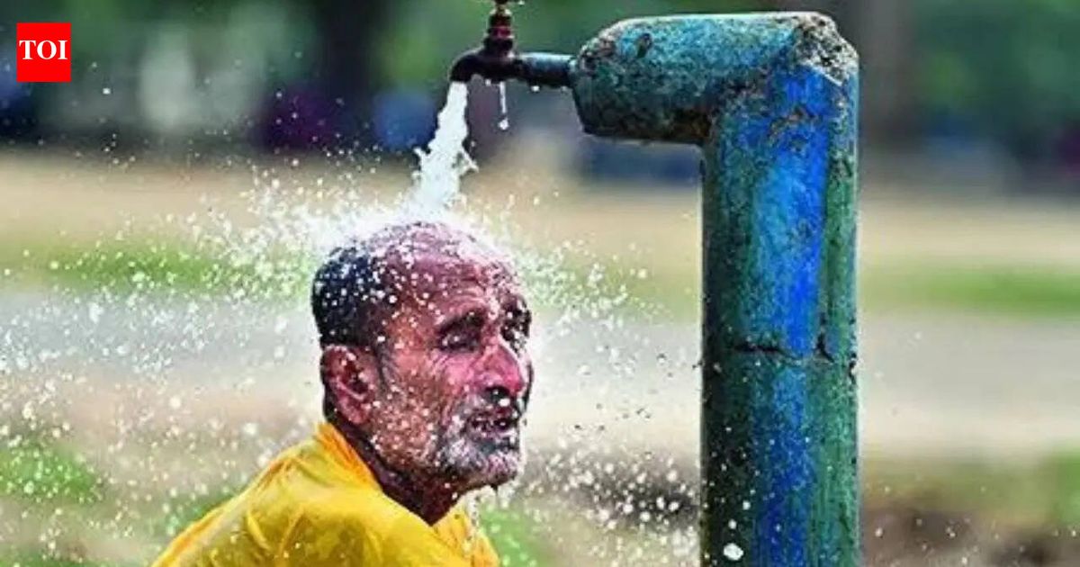WMO's El Nino alert raises odds of severe impact on monsoon