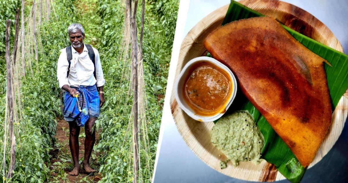 Cancer served on a plate? How chemicals banned in Europe are killing Indians