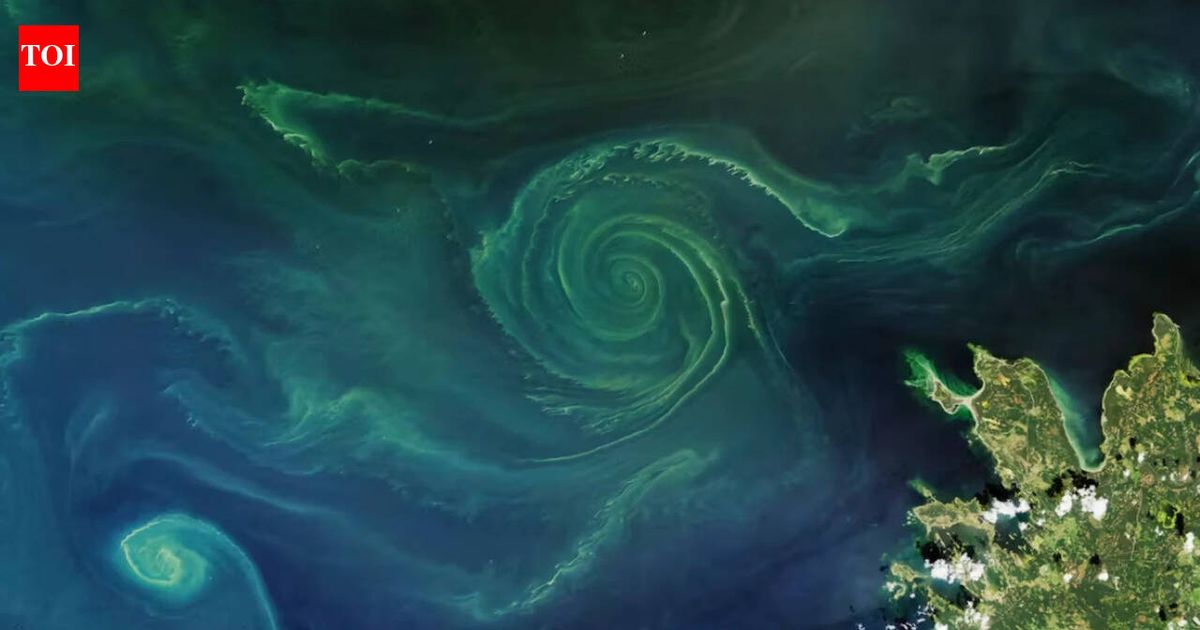 The Lincoln Memorial Reflecting Pool became a real-world test case for nanobubbles, tiny gas bubbles that can clean water, fight algae and potentially help restore polluted lakes and seas