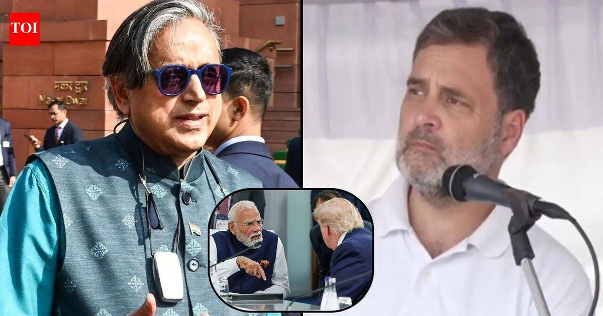 'Rahul Gandhi exposed': BJP targets Congress leader after Shashi Tharoor's PM Modi praise over Trump meet
