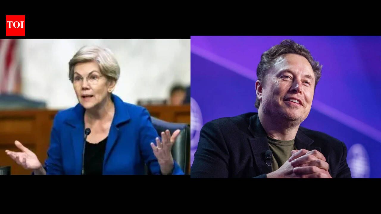 'When I give my savings to Elon Musk...' Senator Elizabeth Warren trolled for demanding wealth tax on world's first trillionaire