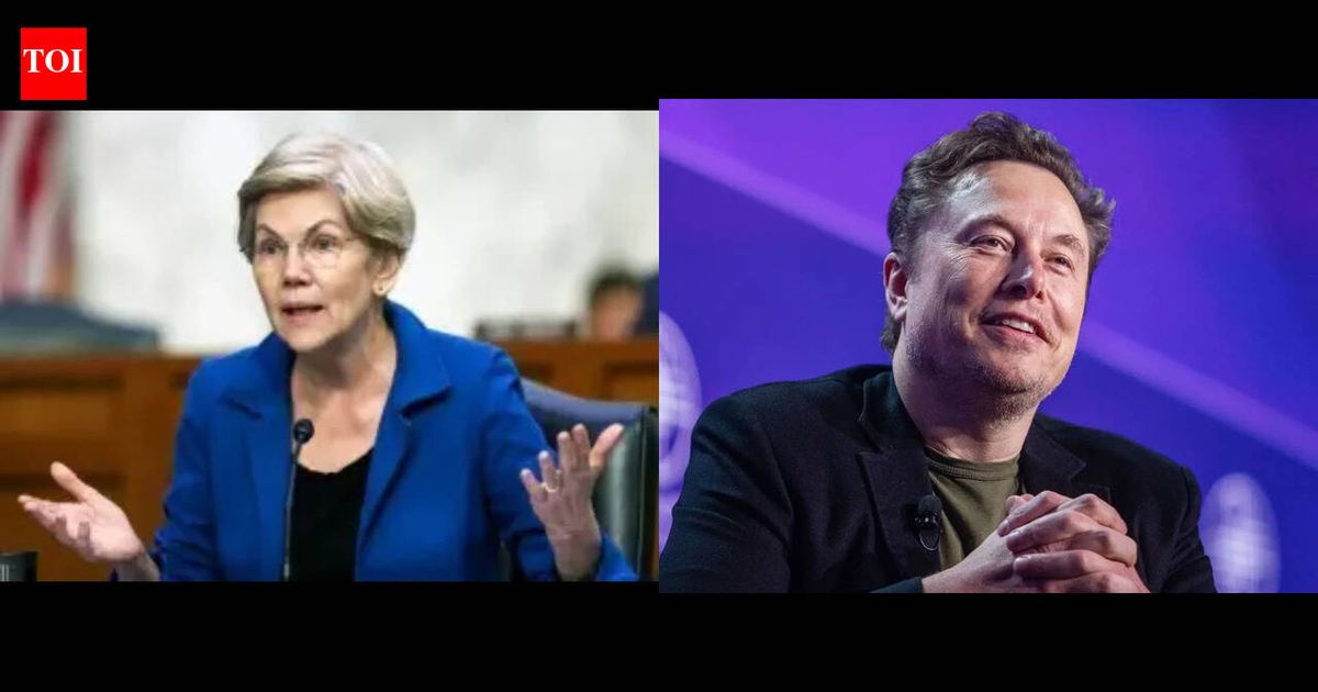 'When I give my savings to Elon Musk...' Senator Elizabeth Warren trolled for demanding wealth tax on world's first trillionaire