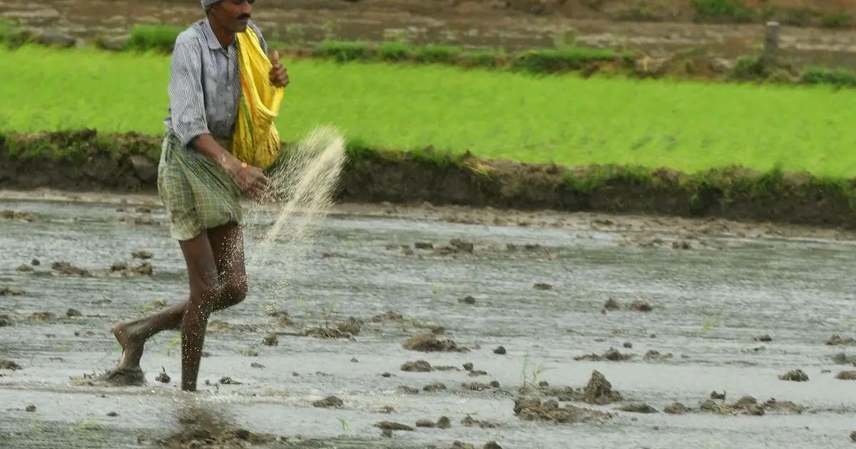 Farmers’ health capital theory: The strategic key to national food security risk management