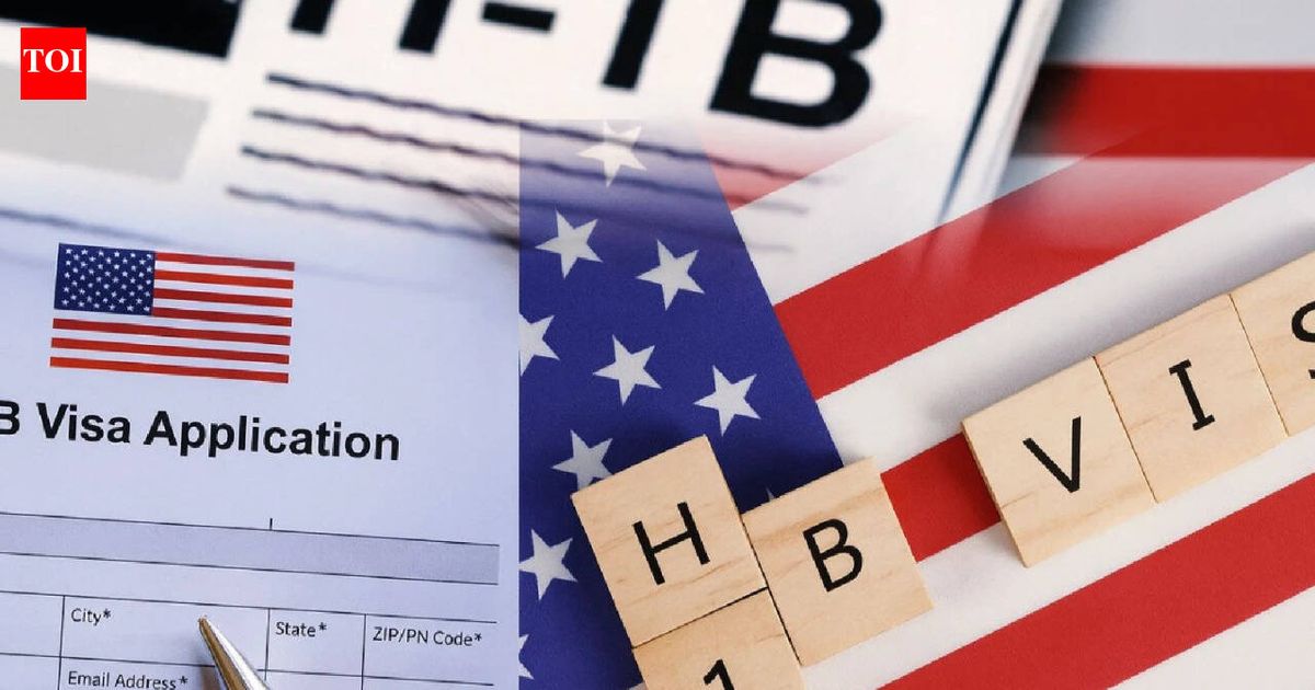 New bill by Chip Roy targeting H-1Bs seeks to end lottery, OPT: Put America's white-collar workers first