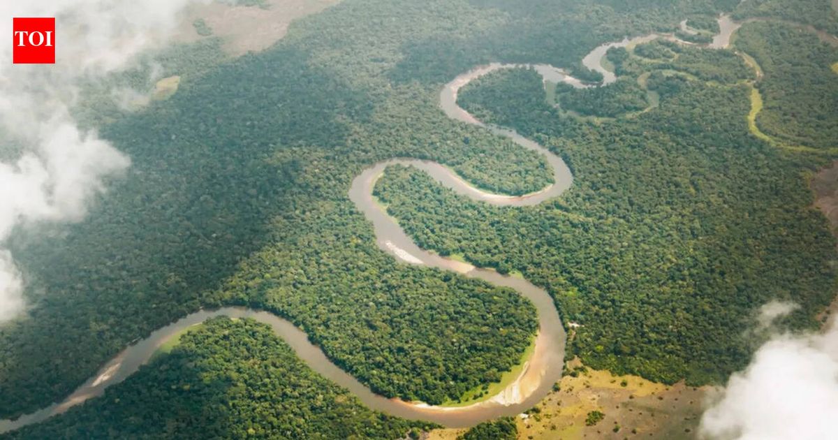 Congo River releases 40,000 cubic metres of freshwater into the Atlantic every second. Scientists trace where it goes