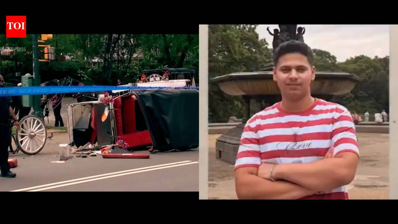 New York mayor Zohran Mamdani pushes to end horse carriage industry after Indian teen Romanch Mahajan's death